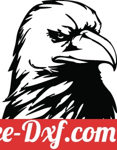 american eagle angry face